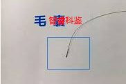 毛发样本采集方法