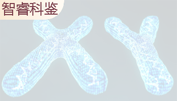 北京孕期亲子鉴定中心