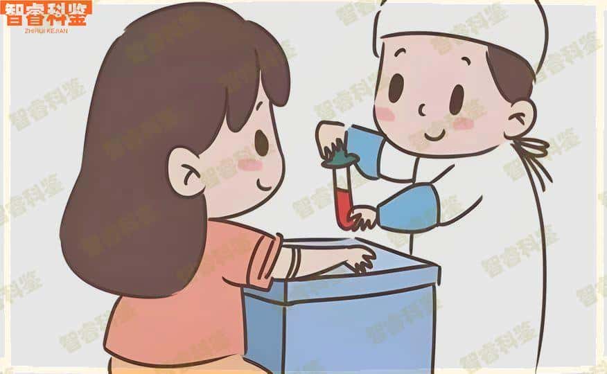 亲子鉴定过程是怎样的