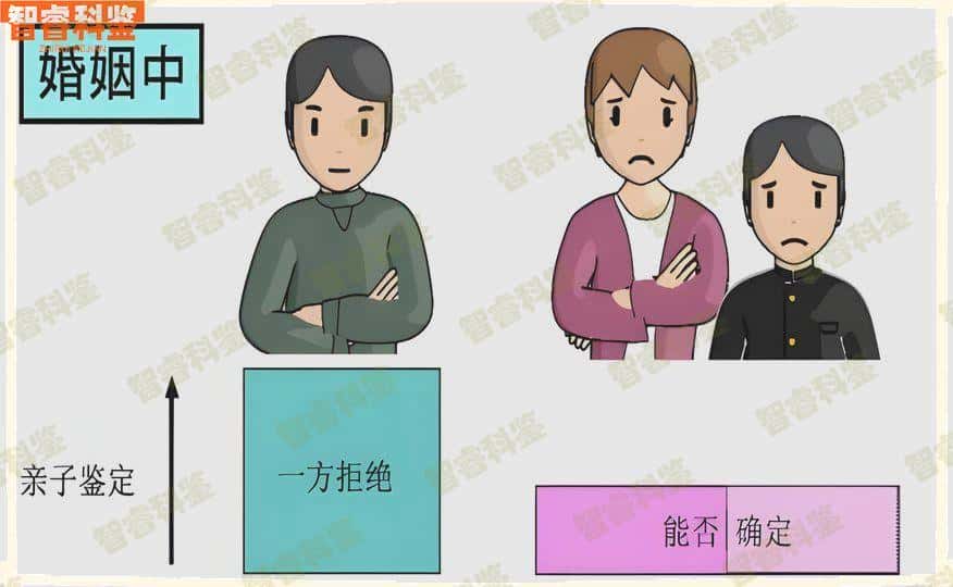 什么是亲子鉴定技术