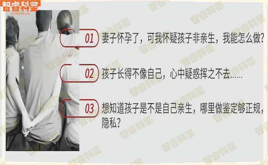 亲子鉴定费用多少钱？如何进行鉴定