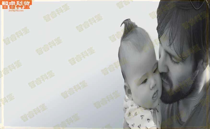 亲子鉴定费用多少钱？如何进行鉴定