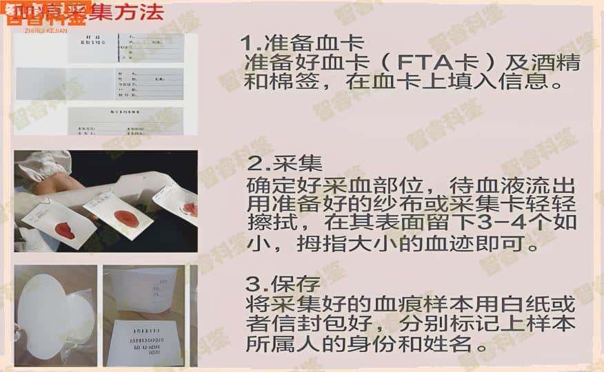 巢湖市个人亲子鉴定机构一览