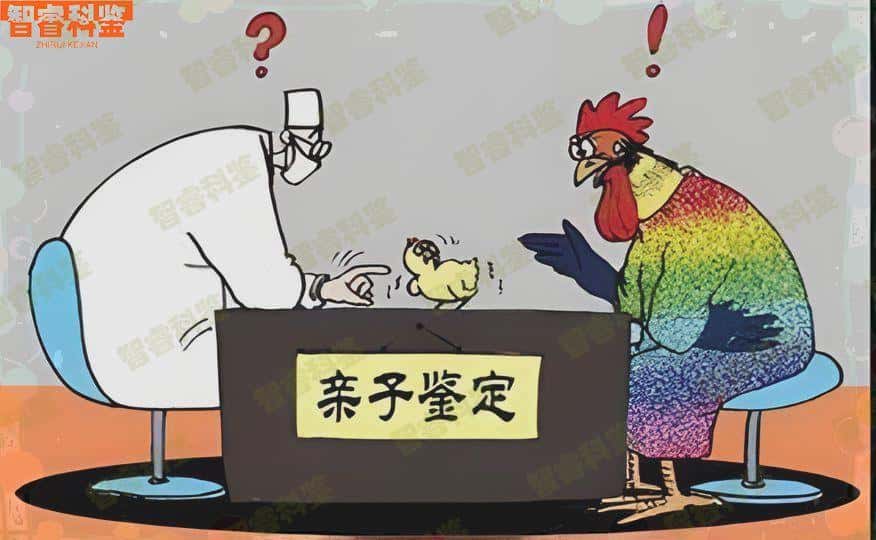 宣城市11家权威个人亲子鉴定中心大全