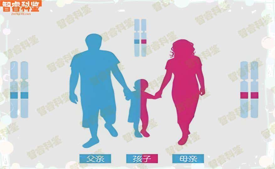 宣城市可以做个人亲子鉴定的中心12家大全