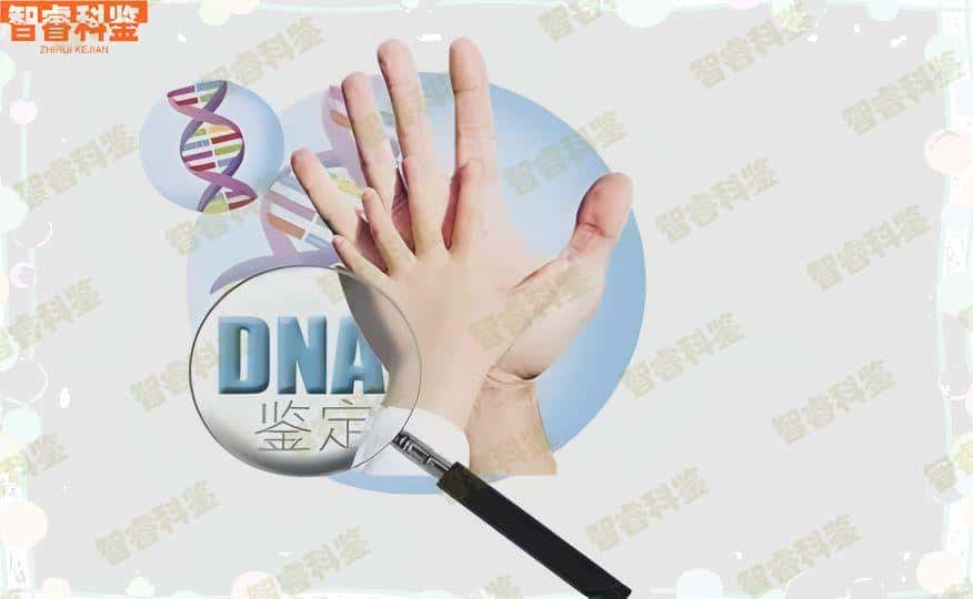 黄山徽州区6家亲子鉴定中心、机构一览