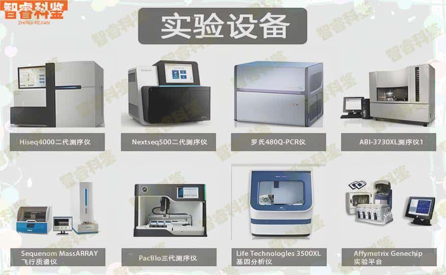 池州市权威dna亲子鉴定收费费用标准大全