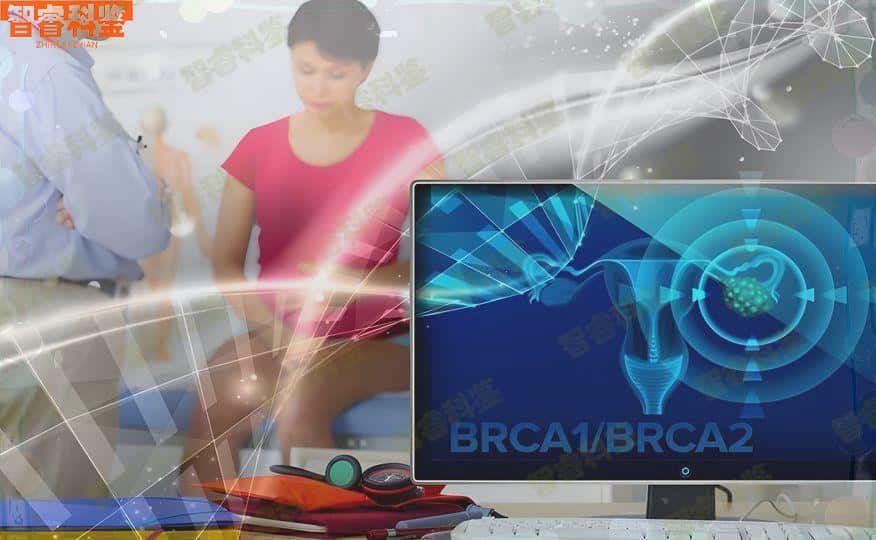 巢湖无为县个人亲子鉴定中心机构11家