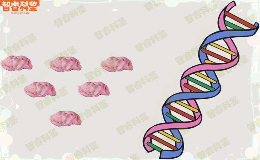 巢湖哪里可以做怀孕亲子鉴定
