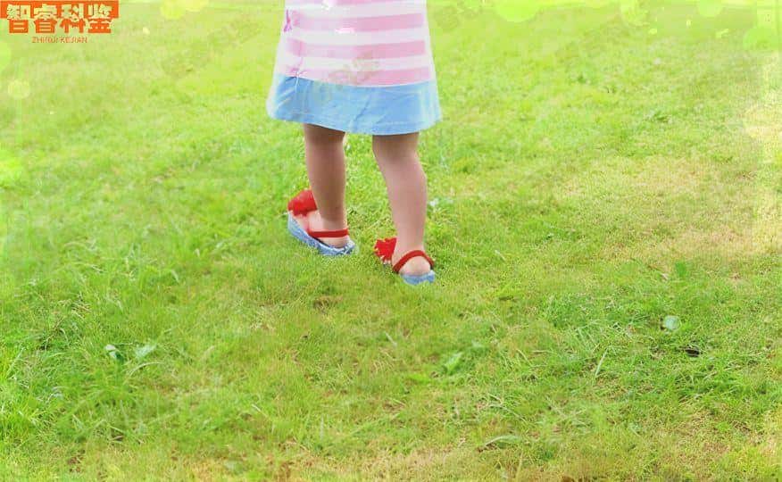 芜湖无为市10家可以做正规亲子鉴定的机构合集