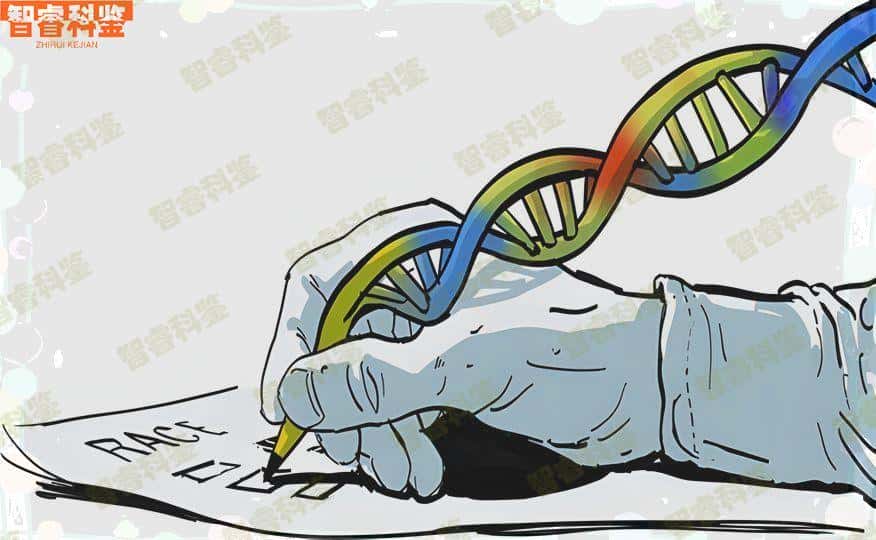 无为隐私亲子鉴定可以作假报告吗？