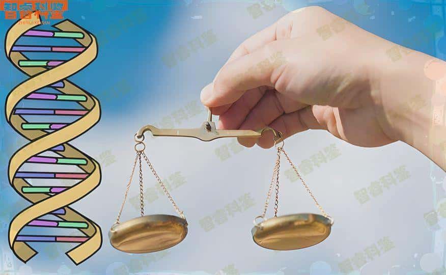 厦门市司法亲子鉴定机构一览