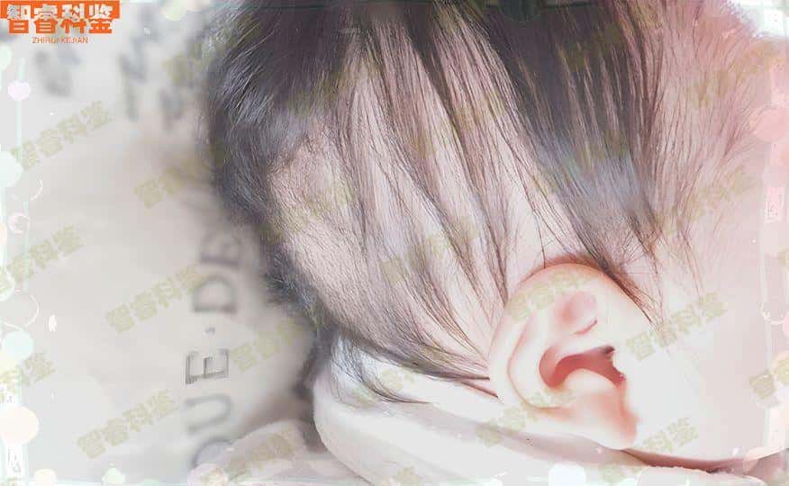 江苏福建泉州亲子鉴定机构排名,福建泉州亲子鉴定中心哪家好?