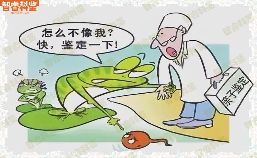 南平亲子鉴定机构