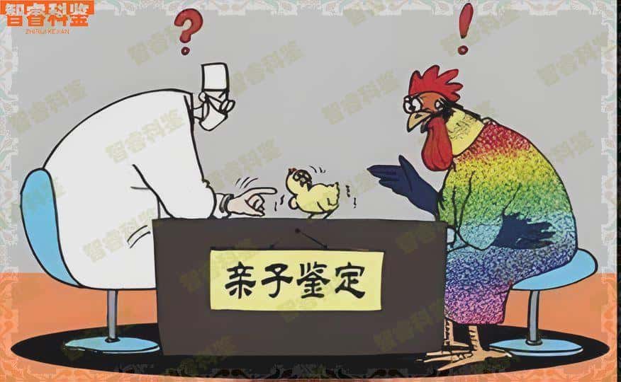 福建南平市个人亲子鉴定中心收费标准一览表