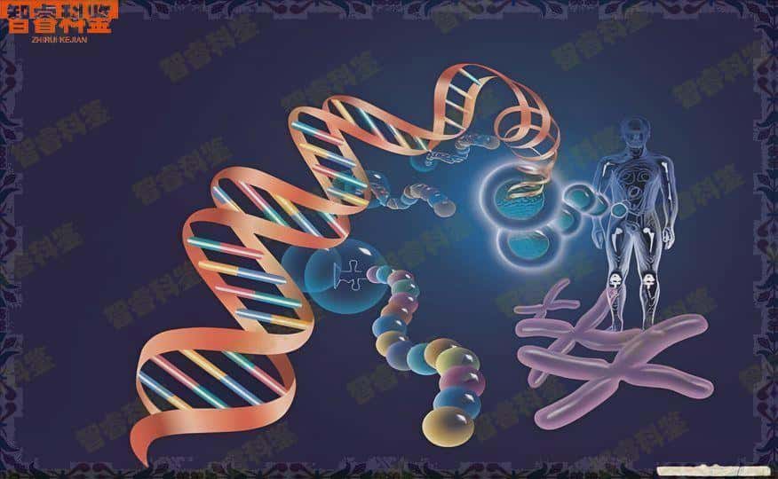 南平亲子鉴定中心费用标准多少，哪里可以知道亲子鉴定费用多少