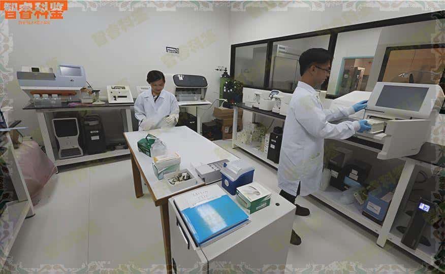 安溪亲子鉴定医院