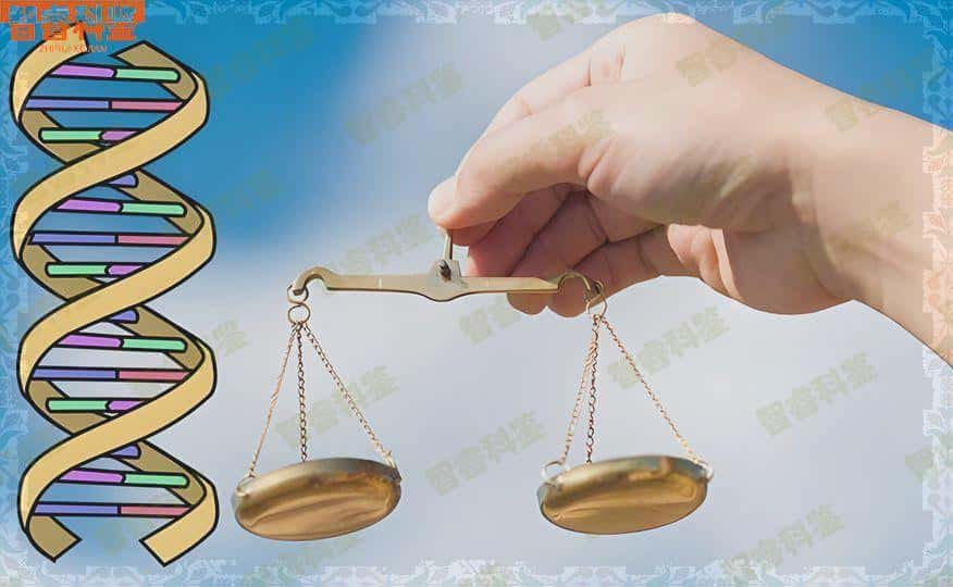 广东广州亲子鉴定机构名单