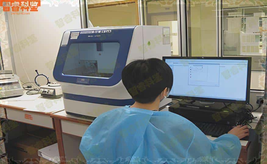 东莞市亲子鉴定11家大全