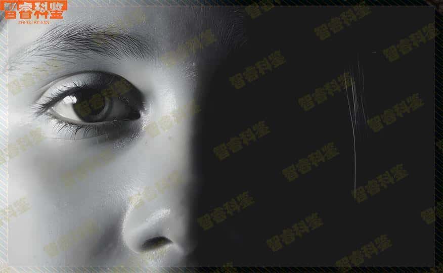 惠州11所亲子鉴定机构一览