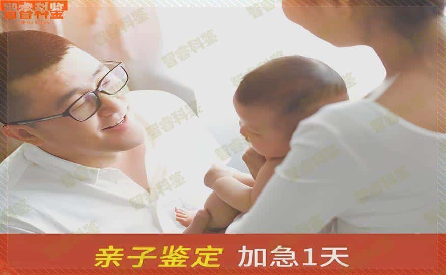 江门市正规个人亲子鉴定收费标准