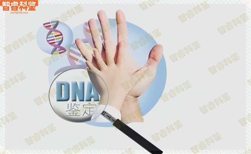 湛江市亲子鉴定机构一览共18家