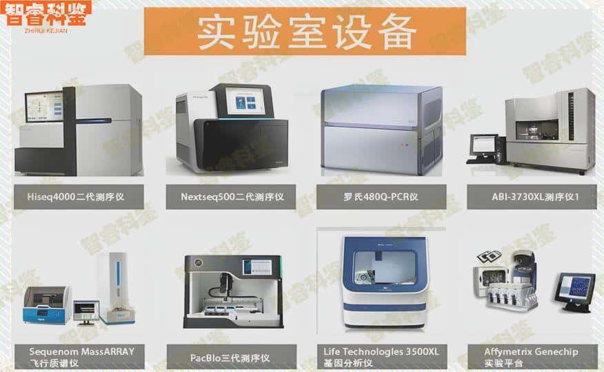 阳春正规亲子鉴定收费标准汇总