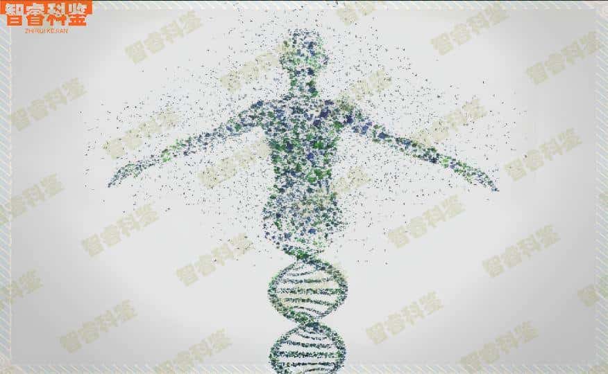 顺德哪几间医院可以做亲子鉴定