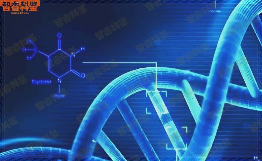 惠州惠东dna亲子鉴定中心