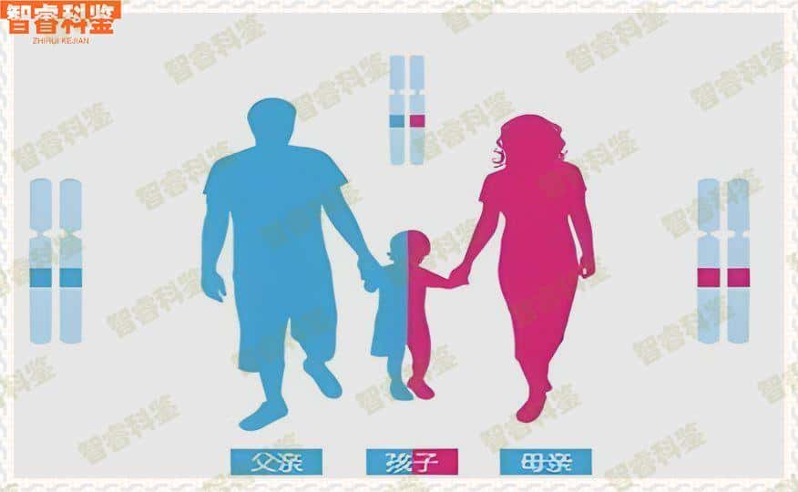 惠州博罗县正规亲子鉴定机构名单
