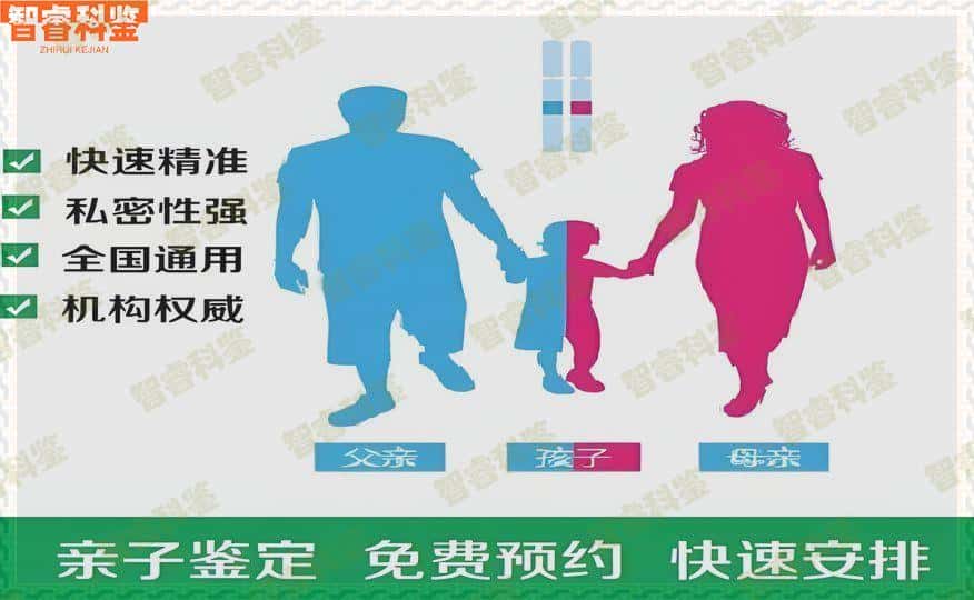 惠州博罗县私人做亲子鉴定收费标准一览表