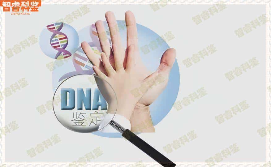 江门开平市可以做亲子鉴定的正规医院