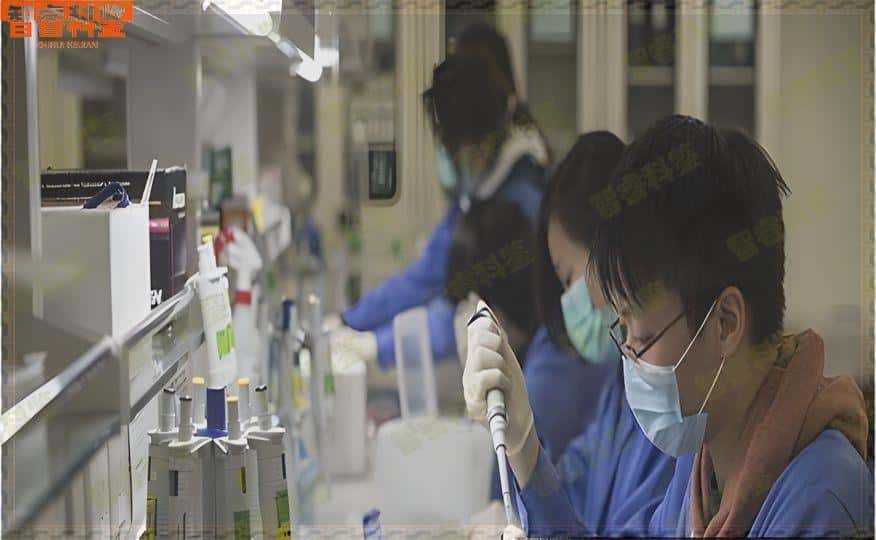 桂林正规亲子鉴定收费标准汇总