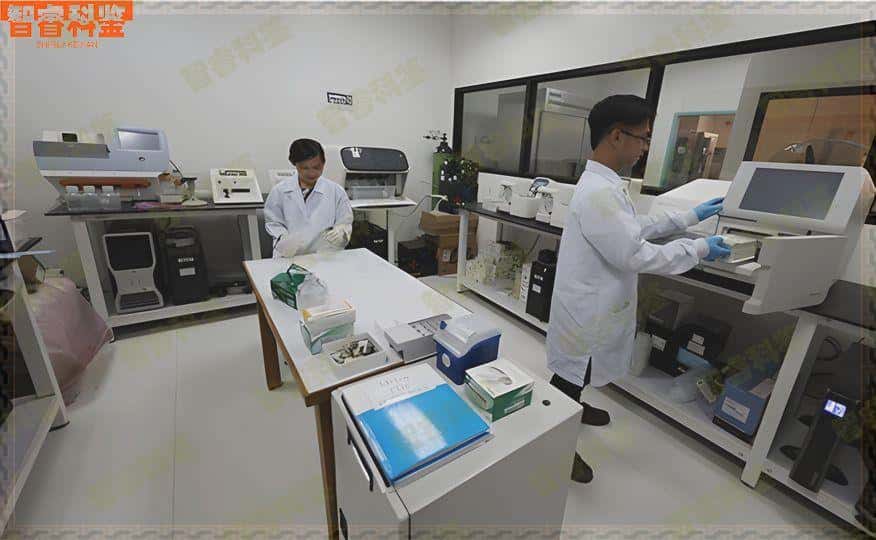 桂林市亲子鉴定10家机构一览