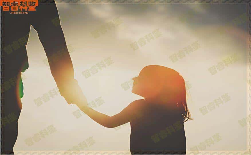 广西亲北海子鉴定要多少钱的费用