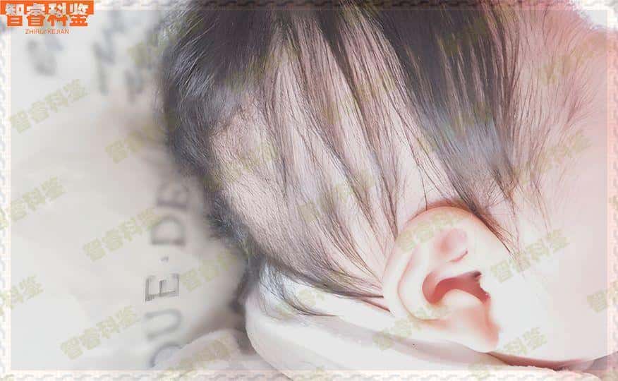 百色司法亲子鉴定机构地址