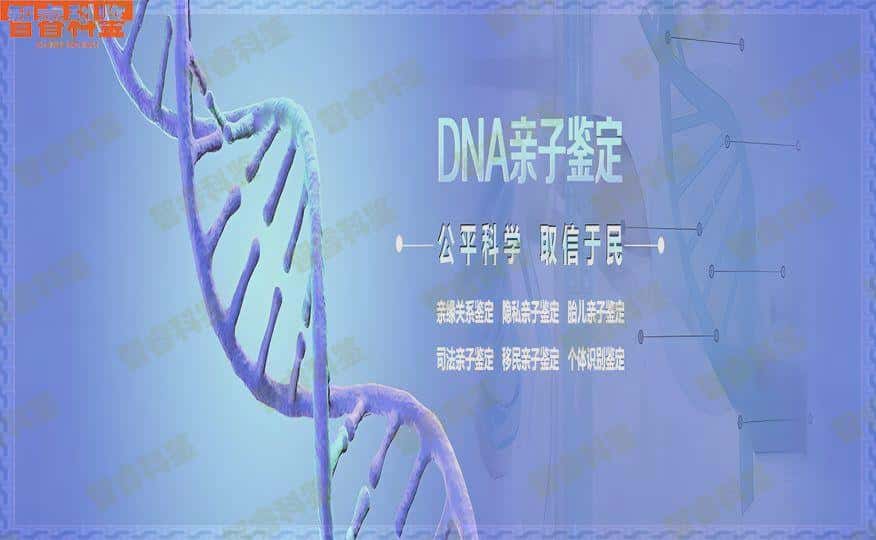 来宾个人亲子鉴定流程与方法