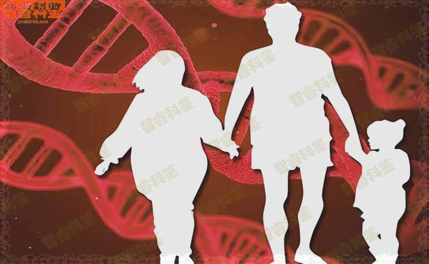 毕节市9家无创胎儿隐私亲子鉴定机构地址大全