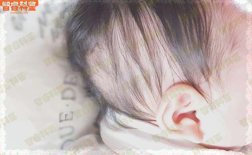 仁怀市亲子鉴定机构地址