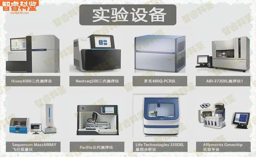 天水15家个人亲子鉴定中心机构一览
