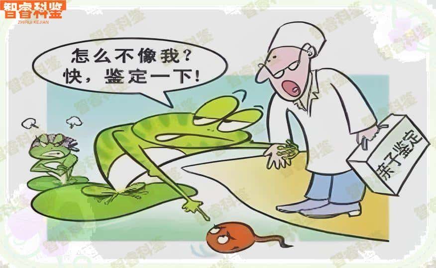 白银市亲子鉴定10家机构一览