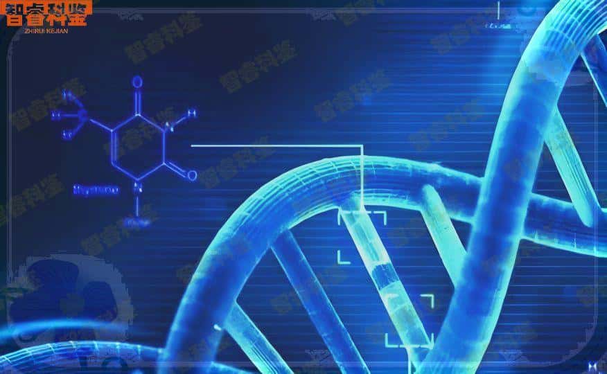 白银怎么选择司法机构可以做新生儿亲子鉴定
