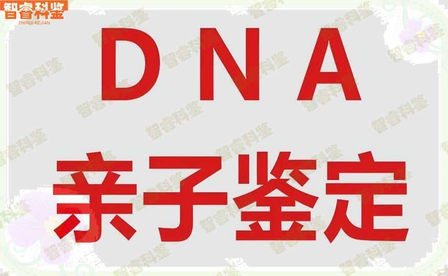 庆阳市亲子鉴定正规机构查询地址