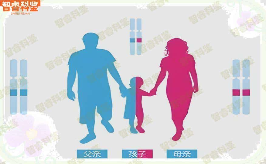 庆阳市权威亲子鉴定中心大全