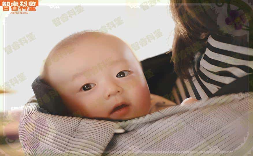 酒泉亲子鉴定条件是什么？