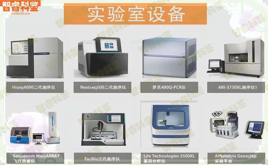 酒泉亲子鉴定手记