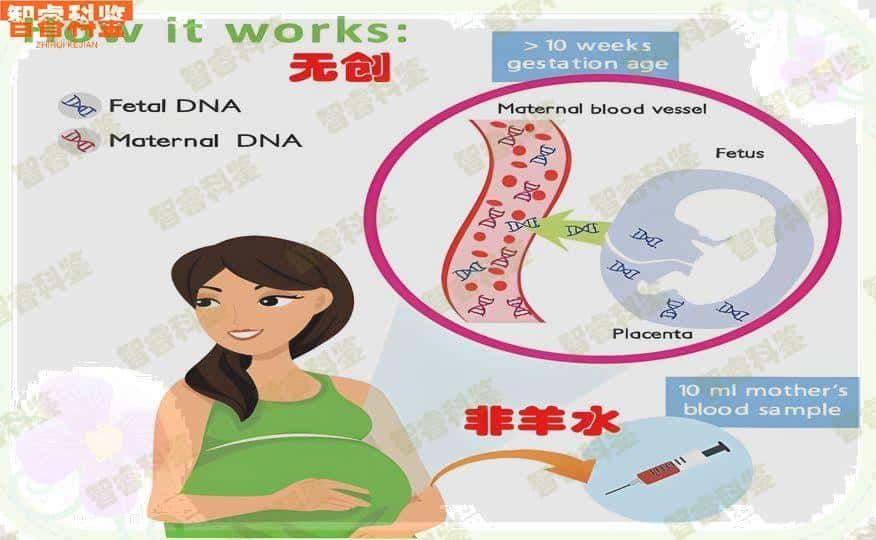 金昌市dna亲子鉴定中心地址6家|2023年更新