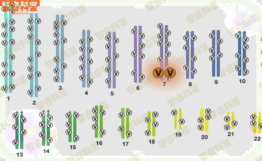 临夏临夏市15家亲子鉴定机构一览