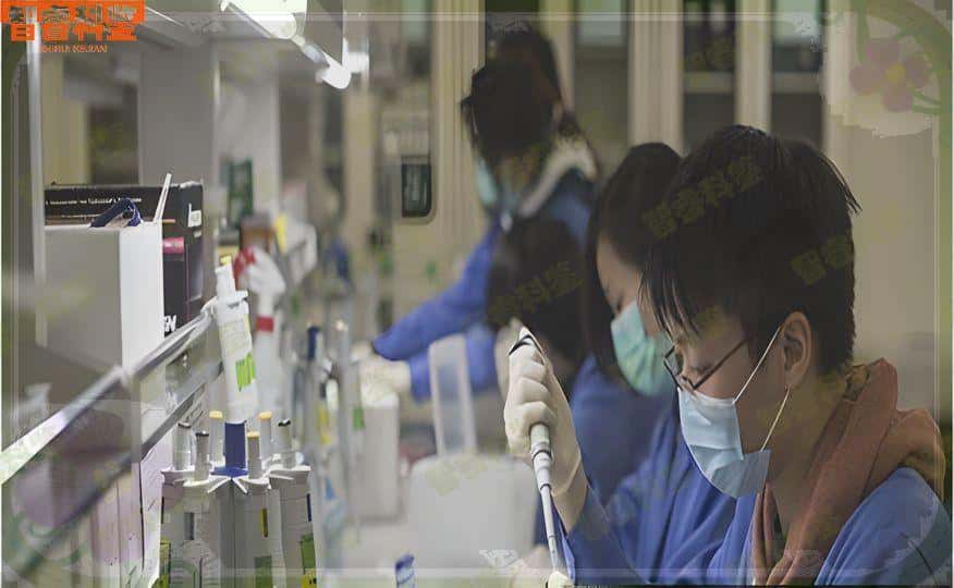 嘉峪关市正规亲子鉴定机构目录