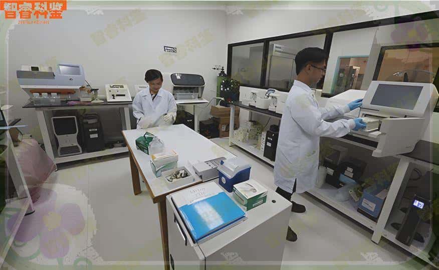 嘉峪关市11家个人亲子鉴定中心大全